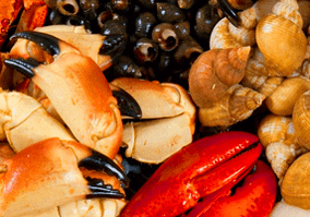 Sea fruits to increase potency in men
